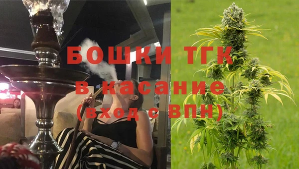 шишки Бронницы